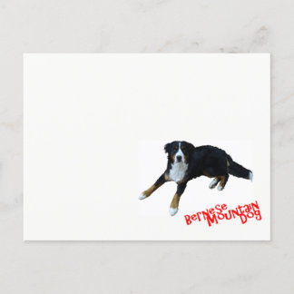 バーニーズマウンテンドッグ ポストカード