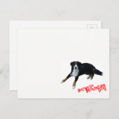 バーニーズマウンテンドッグ ポストカード (正面/裏面)