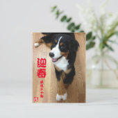 バーニーズマウンテンドッグ 年賀状 2018年 戌年 ポストカード (スタンド正面)