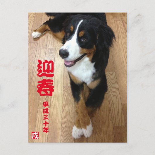 バーニーズマウンテンドッグ 年賀状 2018年 戌年 ポストカード (正面)
