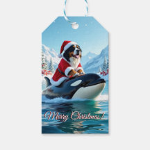 バーニーズ・マウンテン・ドッグとシャチのクリスマス