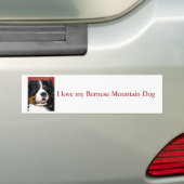 バーニーズ・マウンテン・ドッグのバンパーステッカー バンパーステッカー (車上)