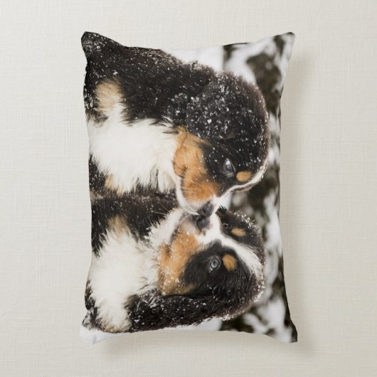 バーニーズ・マウンテン・ドッグのパペットスニファ互い アクセントクッション (正面(垂直))