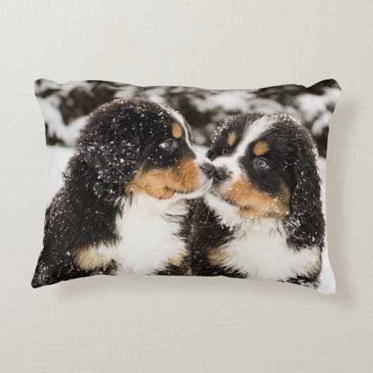バーニーズ・マウンテン・ドッグのパペットスニファ互い アクセントクッション (裏面)
