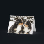 バーニーズ・マウンテン・ドッグのパペットスニファ互い カード<br><div class="desc">Snowyのバーニーズ・マウンテン・ドッグのパペットは各他をくんくんかぎます</div>