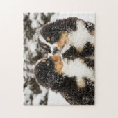 バーニーズ・マウンテン・ドッグのパペットスニファ互い ジグソーパズル (縦)