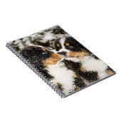 バーニーズ・マウンテン・ドッグのパペットスニファ互い ノートブック (右側)