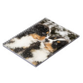 バーニーズ・マウンテン・ドッグのパペットスニファ互い ノートブック (左側)