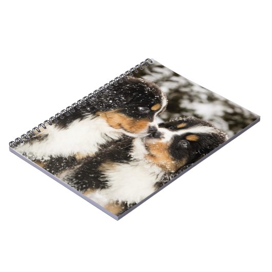 バーニーズ・マウンテン・ドッグのパペットスニファ互い ノートブック (左側)