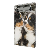 バーニーズ・マウンテン・ドッグのパペットスニファ互い ミニクリップボード (アングル2)