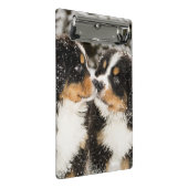 バーニーズ・マウンテン・ドッグのパペットスニファ互い ミニクリップボード (アングル)