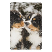 バーニーズ・マウンテン・ドッグのパペットスニファ互い ミニクリップボード (裏面)