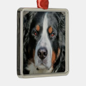 バーニーズ・マウンテン・ドッグの写真のイメージ メタルオーナメント (右)