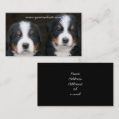 バーニーズ・マウンテン・ドッグの子犬の名刺 名刺 (正面/裏面)