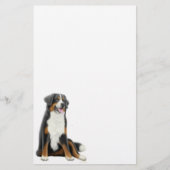 バーニーズ・マウンテン・ドッグの文房具 便箋 (正面)
