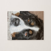 バーニーズ・マウンテン・ドッグの置くこと ジグソーパズル (横)