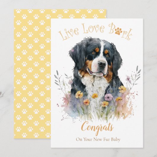 バーニーズ・マウンテン・ドッグの里親募集、初日 カード (正面/裏面)