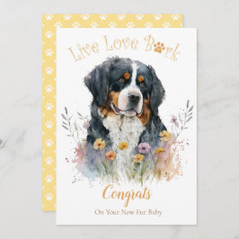 バーニーズ・マウンテン・ドッグの里親募集、初日 カード