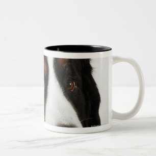 バーニーズ・マウンテン・ドッグ(Berner Sennenhund)との ツートーンマグカップ