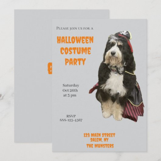 バーニードゥードル犬のパイレーツハロウィンコスチュームパーティー 招待状 (正面/裏面)