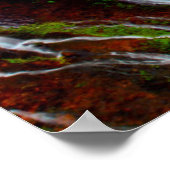 バーニー秋ムカルトゥールバーニー秋メモリアル ポスター (角)