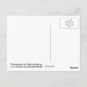 バーネガットライトハウスオールドバーニー ポストカード (裏面)