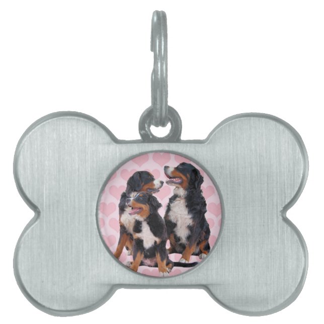 バーネーズマウンテンドッグズピンクハート ペットネームタグ (正面)