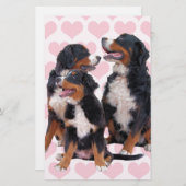 バーネーズマウンテンドッグズピンクハート 便箋 (正面/裏面)