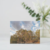 バーノン, アリゾナ ポストカード (スタンド正面)