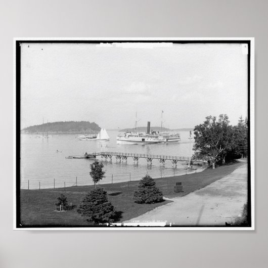 バーハーバービュー、メイン、ヴィンテージc1901 ポスター (正面)