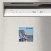 バーハーバー、メイン マグネット (インサイチュ (食洗機))