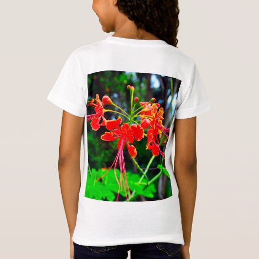 バーバドスの誇り Tシャツ (裏面)