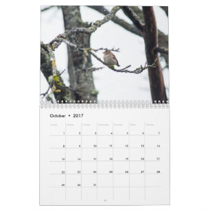 バーバラの徴税による2017カレンダー カレンダー