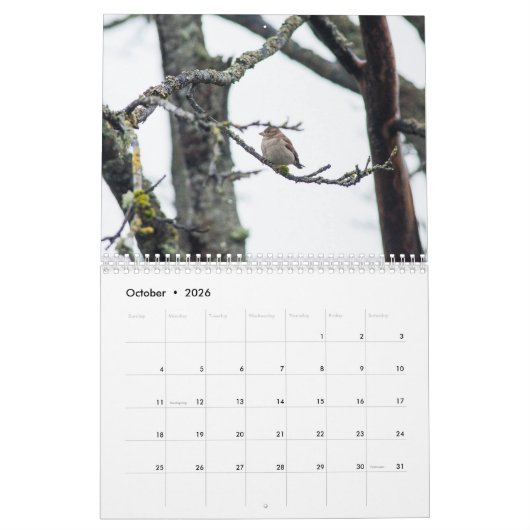 バーバラの徴税による2017カレンダー カレンダー (10月 2026)