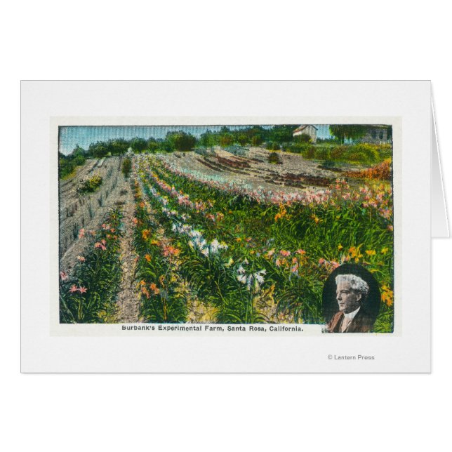 バーバンクス実験農場の空中眺め (正面横)