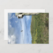 バーバービワイヤベアーポー山脈の上の鳥 ポストカード (正面/裏面)