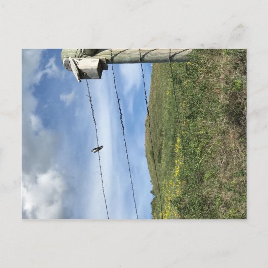 バーバービワイヤベアーポー山脈の上の鳥 ポストカード (正面)