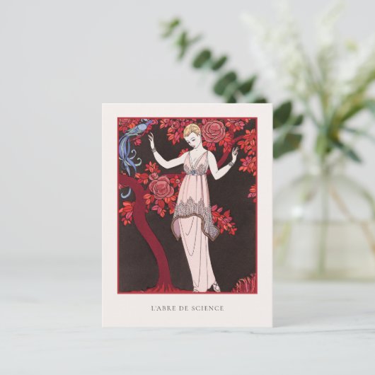 バービエ科学ファッションのフランスの木 ポストカード (スタンド正面)