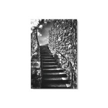 バービカン素晴らしステップ黒白