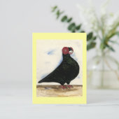 バーブピジョンウォーター色 ポストカード (スタンド正面)