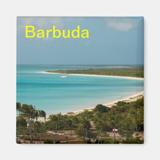 バーブーダ マグネット (正面)