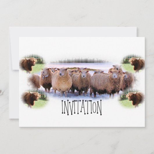 バーベキューやディナーパーティーの招待状 招待状 (正面)