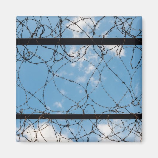 バーベットワイヤーアットアムナスラカ マグネット (正面)