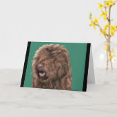 バーベット·ドッグ カード (黄色い花)