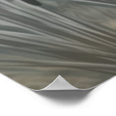 バーベッフランスのト、水犬 ポスター (角)