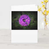 バーベナ、カード カード (黄色い花)