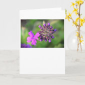 バーベナ、カード カード (黄色い花)