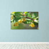 バーベリーの花 – 春 キャンバスプリント (インサイチュ (ウッドフロア))