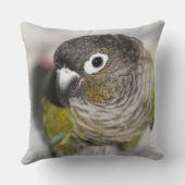 バーベル クッション (裏面)