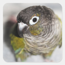 バーベル スクエアシール